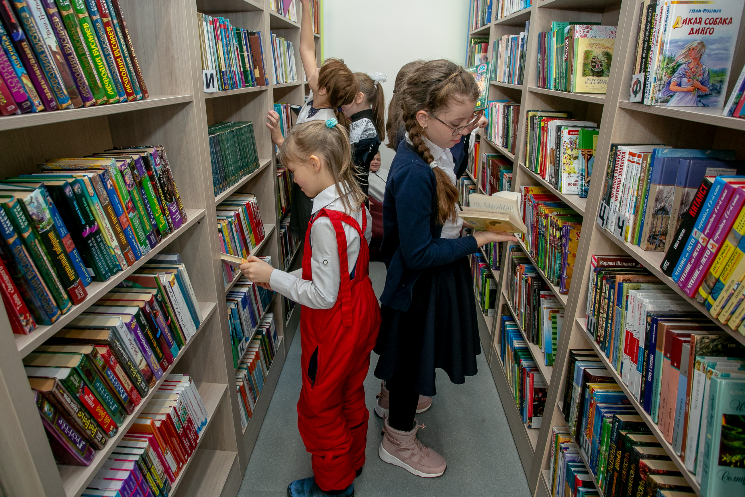 Модельные детские библиотеки